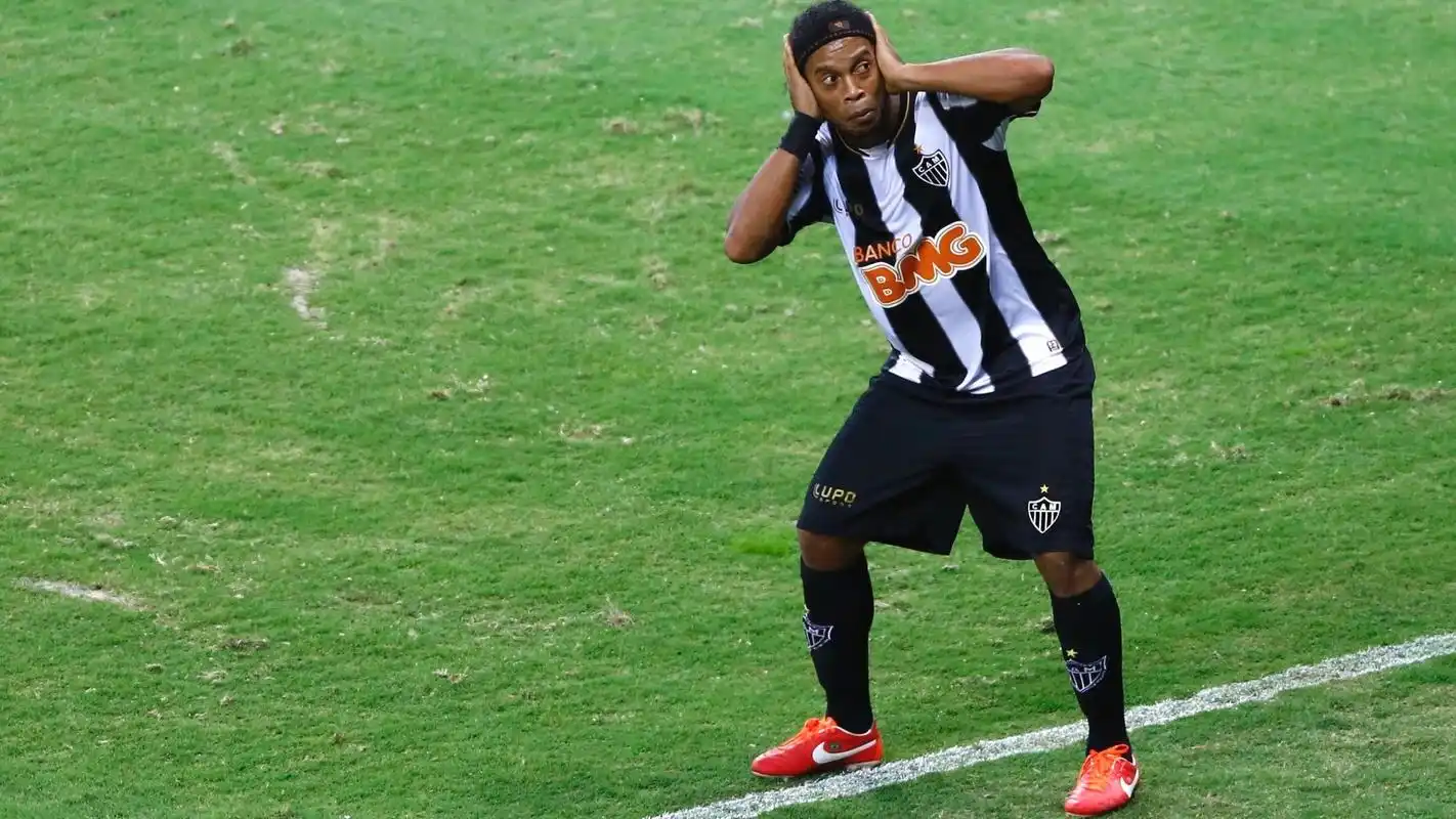 不仅将有助 不仅将有助